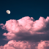 moonlitecho 的头像