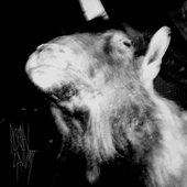 BAGV