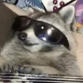Avatar for sexylizardjesus
