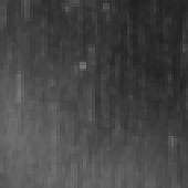 Avatar di edith696