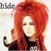 Hide