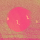 DozZz Bancamp Header