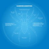 Ragnogrammofono