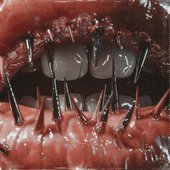 The Temptation of Pain [Explicit]