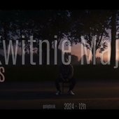 Kwitnie maj