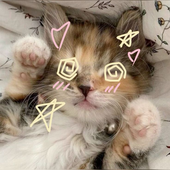 BaaXbby 的头像
