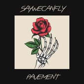 Pavement - Single