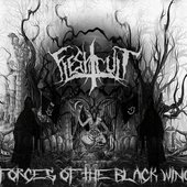 Forces Of The Black Wing