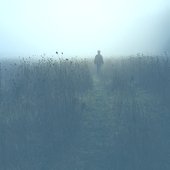 51931733_1125931010912766_6744787367141310464_n.jpg