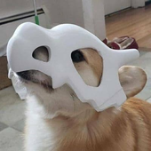 Avatar for nowbie