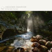 Ethereal Forest