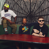 Cunninlynguists