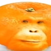 Pumba3 的头像