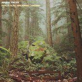 Analytical Dreaming | Anomie