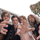 The Struts