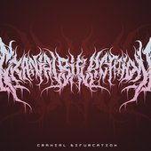 Cranial Bifurcation