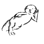 Avatar for mathpz