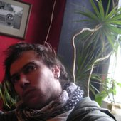 @sunflower hostel, berlin