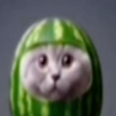 Davijokei 的头像