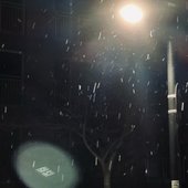 IMG_7183.jpeg
