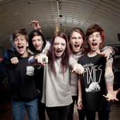 marmozets