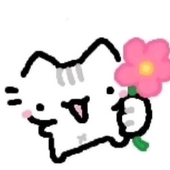 CinnnnaMoon 的头像