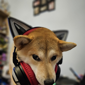 DogeFlakes 的头像