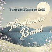 Twinflower Band - Turn My Blame To Gold (2011)