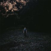 Alder Glade.jpg