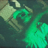misery <3 company mv