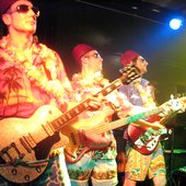 The Bikini Beach Band 