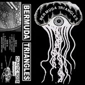 BERMUDA TRIANGLES "untitled cassette"