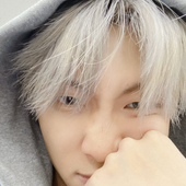 etchstyles 的头像