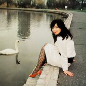Avatar for Björk