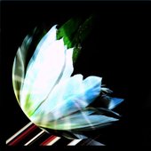 TiHKAL002