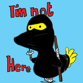 Avatar for ninja_duck911