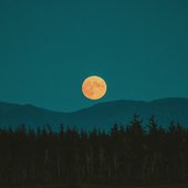 0030010471_10.jpg