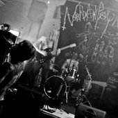 Grafir