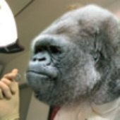 Dentist Ape !!!
