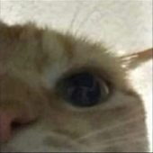 helpmevania 的头像