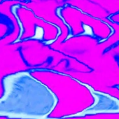 TheDimensionist 的头像