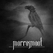 Marrasmaat