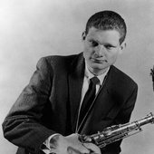 zootsims_vert-f4dd6fb5b9239e389c2e19b80e37712421fba5b8-s800-c85 copy.jpg