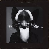Orchid, or "How to Bloom in Total Darkness"
