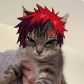 Avatar for GDS0