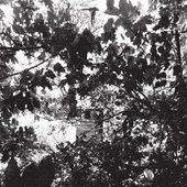 Pantheonic Pestis