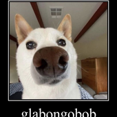 Glabongobob 的头像