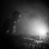 Root Noise