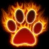 Avatar de firestorm_1