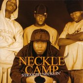 Straight Necklin'
